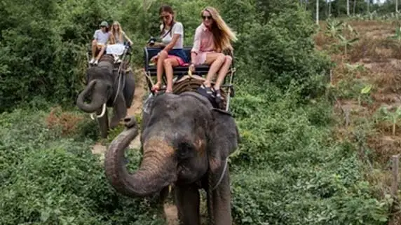 Guest enjoying the elephant safari in jim corbett jungle.